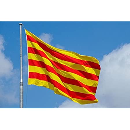 villarrealweb's tweet photo. Felicitats Vila-real #20deFebrer https://t.co/YS5jE1ctl7