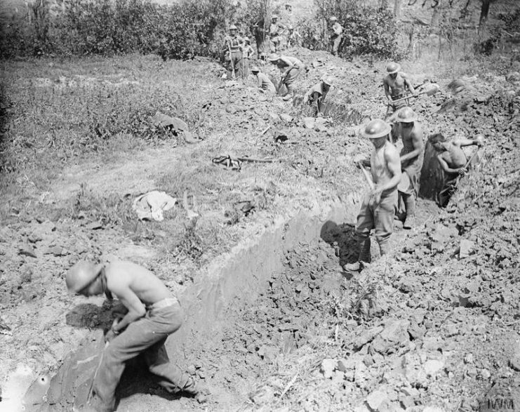 HorsebackSapper's tweet photo. Continuing to work on shifting the website, and now at the stage of digging into the detail of formatting and the look of the site.
I'm getting there, just a few bits that i want to adjust the way they look and how they work.
#BashOn https://t.co/aiw2A6BAH5