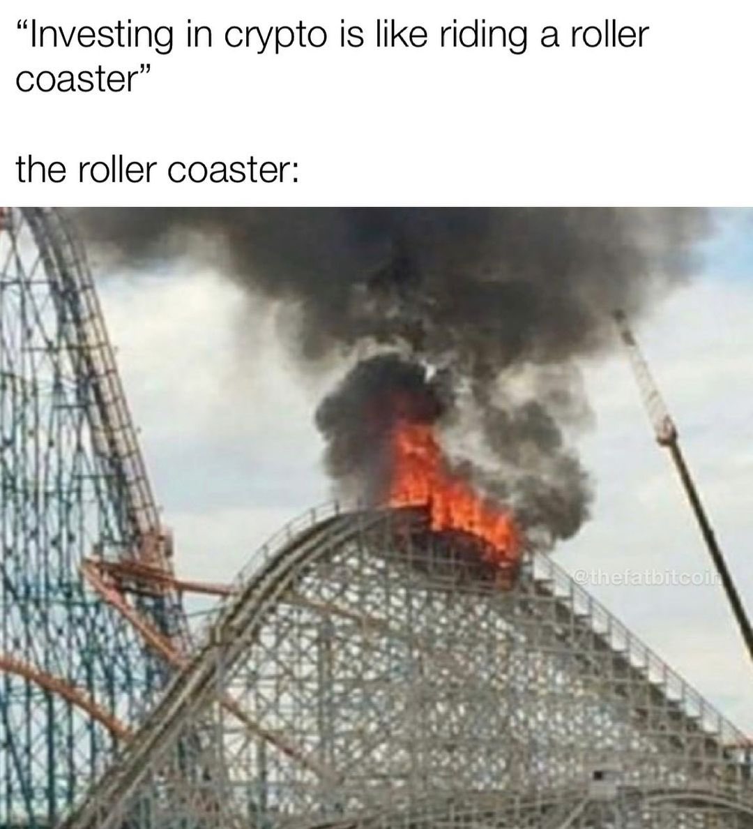 Dogecoin 𝕏 Post tweet media