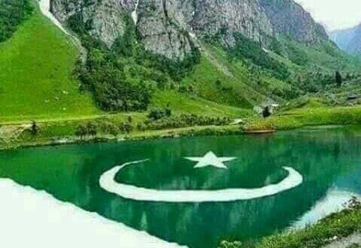 Sabah Gul tweet media