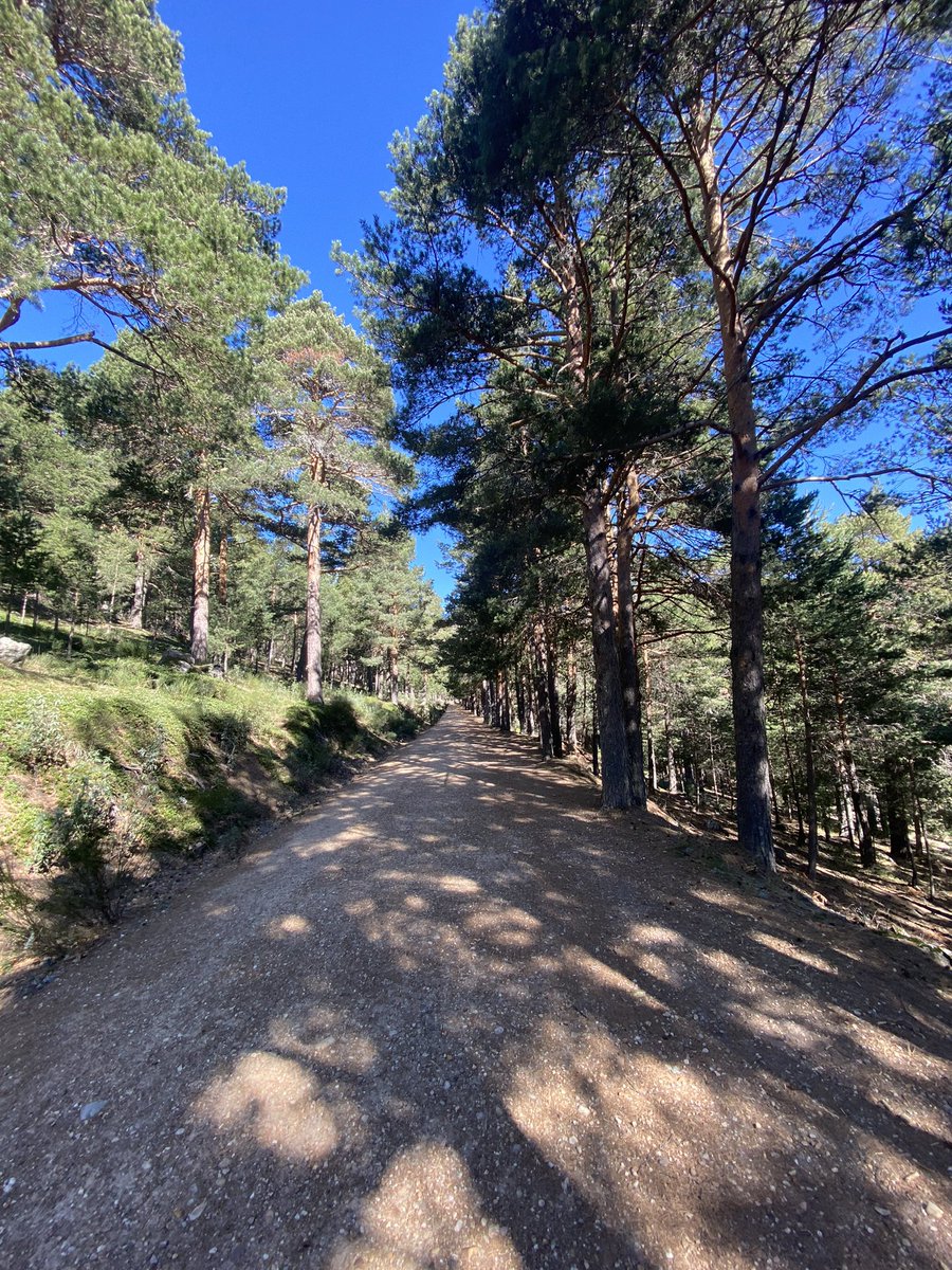 AlbBarrantes's tweet photo. Correr por aquí… ¡Vaya fin de semana! 
❤️❤️ https://t.co/dwASSwTBBw