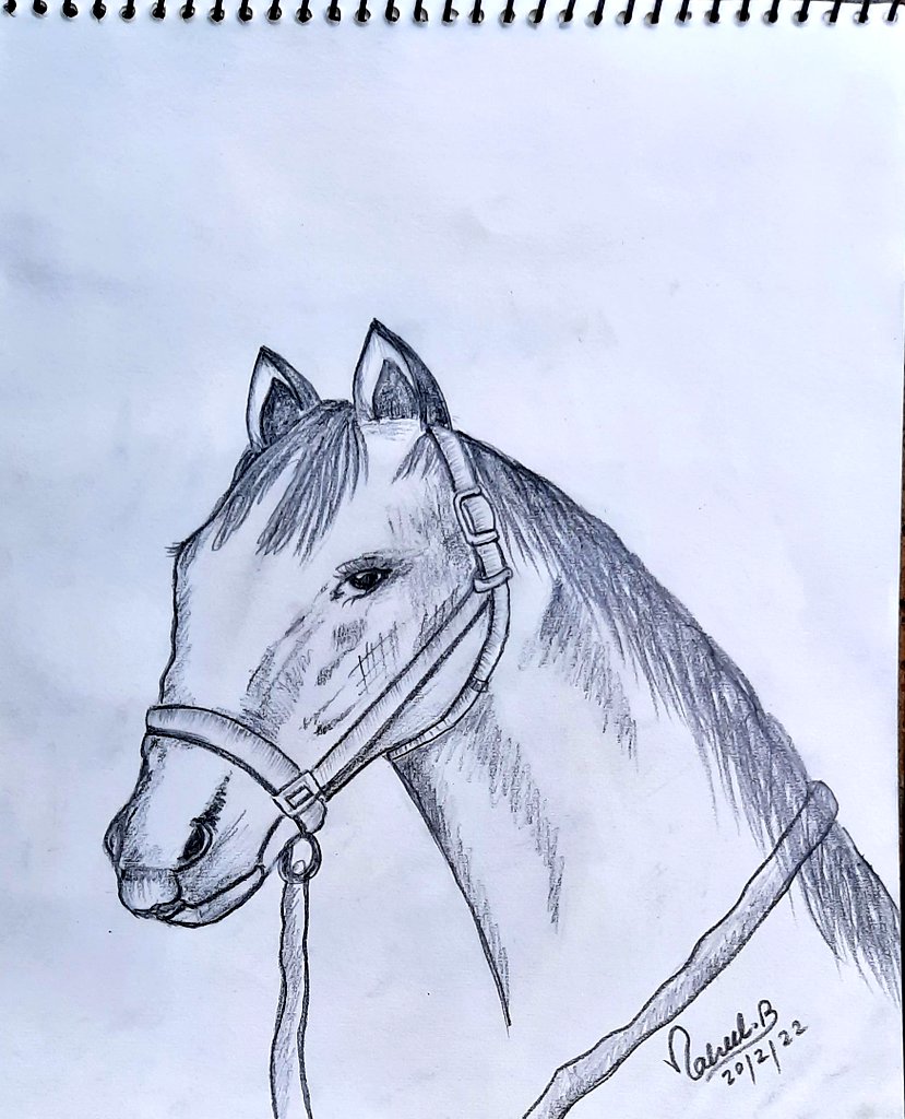 DRAWINGCREATIO3's tweet photo. New drawing  only Pencil ✏  . Please like,  comment  and share ... 
Please  follow  my ID.. https://t.co/X3euSn4z2Z