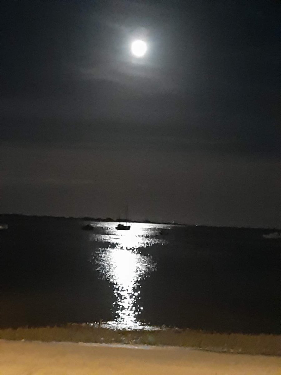 helenmcguinness's tweet photo. @RealRomaDowney Thinking of your daddy every time I see a full moon x #boxofbutterflies 🙏❤️ https://t.co/ivjMYyxLba