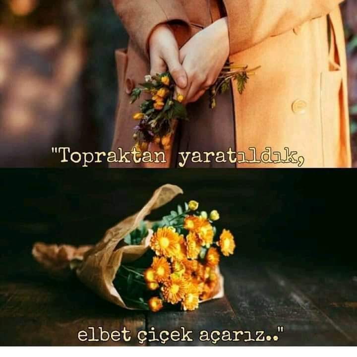 Ali SAYAR (@alisayar) on Twitter photo 