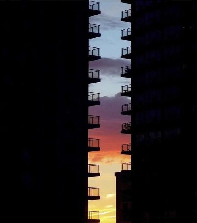 Dolors77513810's tweet photo. Em fascina aquesta fotografia 😍 https://t.co/Dz4pwnMmpu