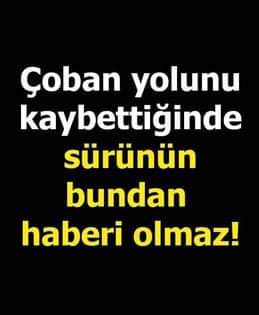 Ali SAYAR (@alisayar) on Twitter photo 