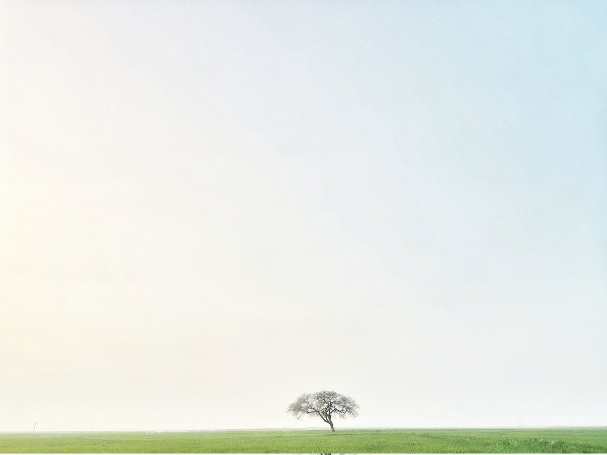 heykarann's tweet photo. Minimalism. 
_
#NFTartist #NFT #NFTCollection #NFTs #opensea https://t.co/Y95kUUc302
