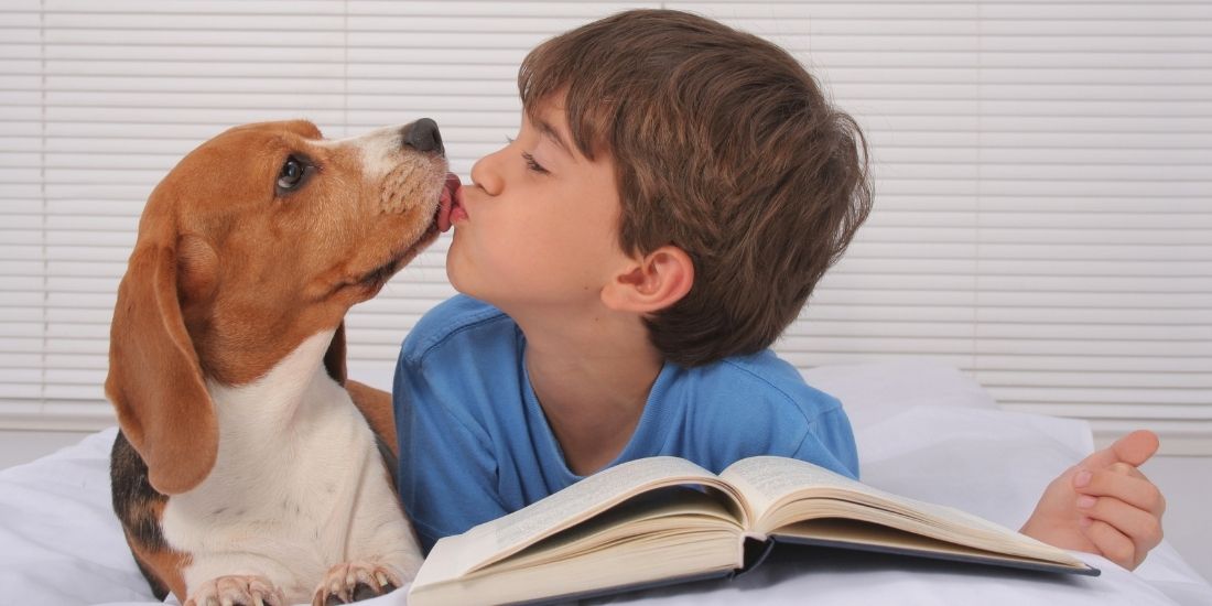 VikingFormation's tweet photo. Un seul jour d'amour, pourquoi si peu ? Accordez plus  attention à votre animal de compagnie aujourd'hui ! https://t.co/iynaW1h6bf