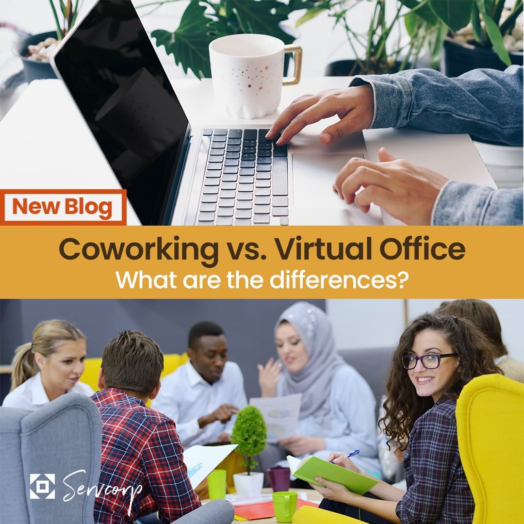 ServcorpQatar's tweet photo. #Coworking vs. #VirtualOffice.
Which solution is right for your business?
Discover more on the link - https://t.co/FedBygQkNY
#Servcorp #ServcorpQatar #Qatar #Doha #ServicedOffice #HybridWorking #CoworkingSpace #FlexibleOffice #WorkRemotely #WorkSpace #Entrepreneur #Business https://t.co/MTGHfojArH