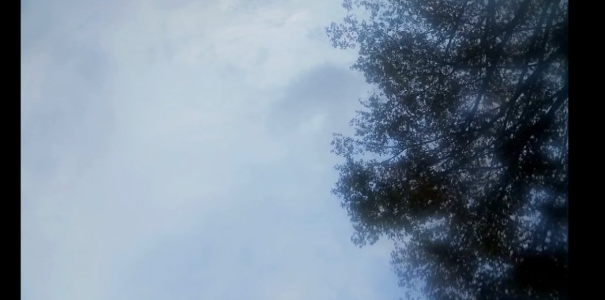 groundways's tweet image. l'eau est le regard de la terre son appareil à regarder le temps

Boby Lapointe Son... nez, une escapade biographique et poétique sur le Canal du Midi