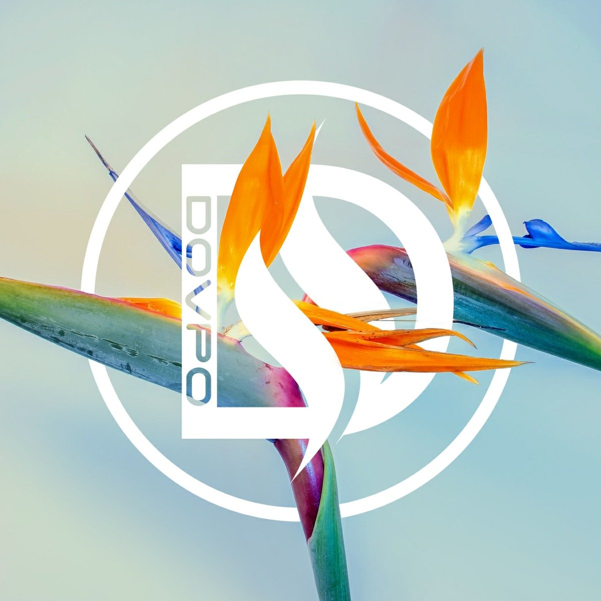 DOVPO is a dedicated brand for innovative Vaping Products with unique designs to improve the quality of your lifestyle and community 💯

FOR THE BETTER FUTURE

dovpo.com

#vaping #vape #vapelife #vapeon #vapingsavedmylife