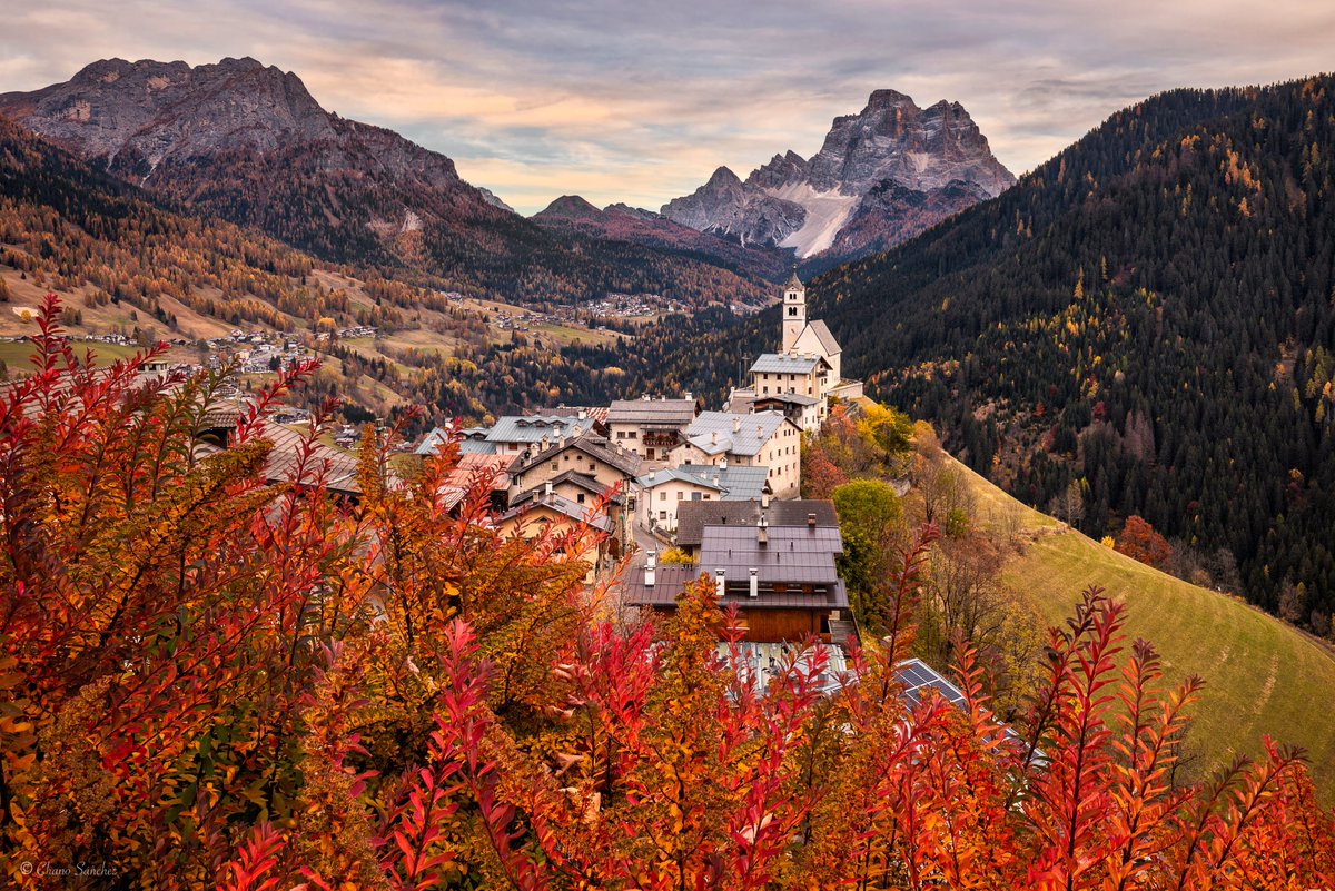 Chano Sanchez tweet media