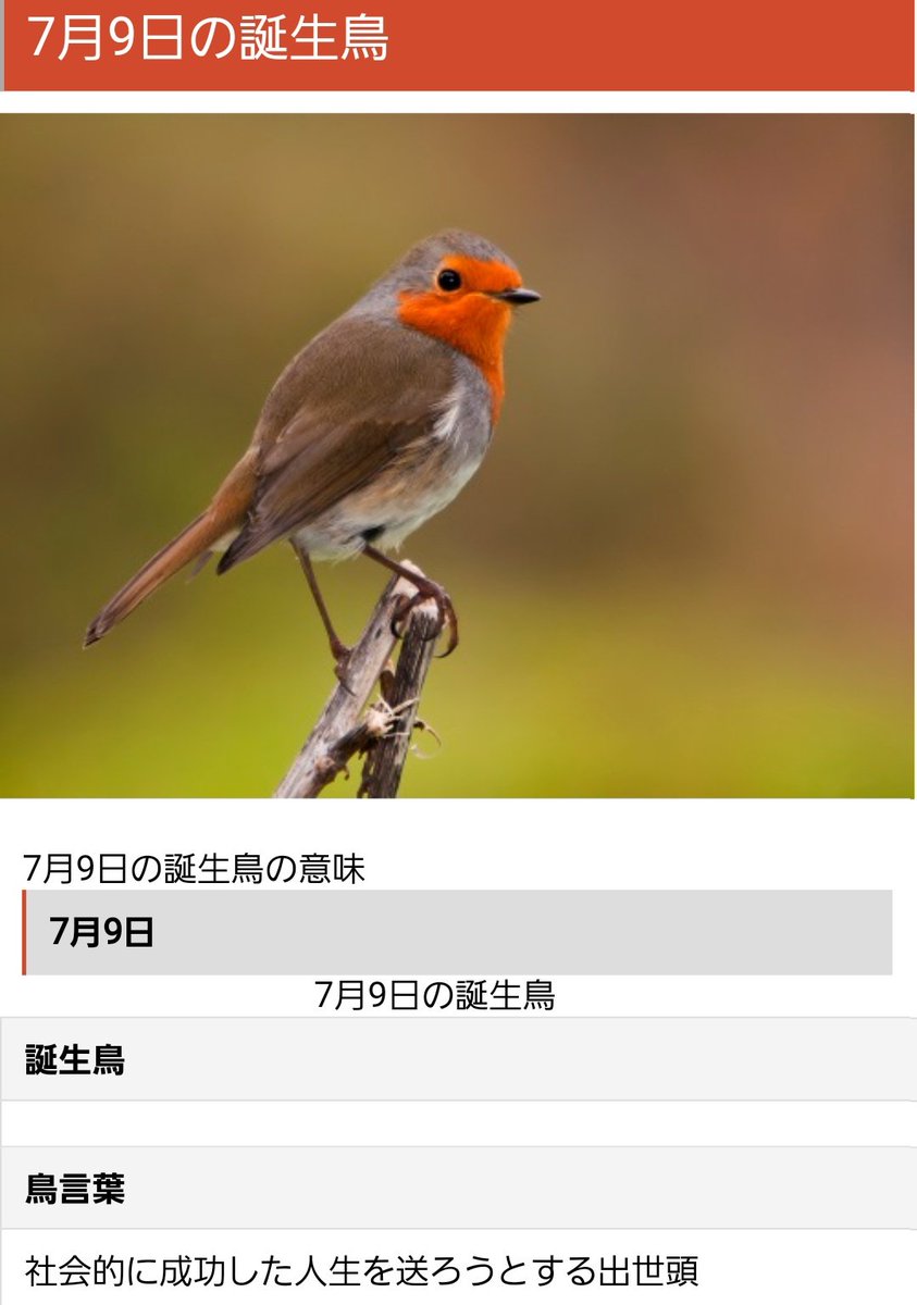 誕生鳥 Twitter Search Twitter