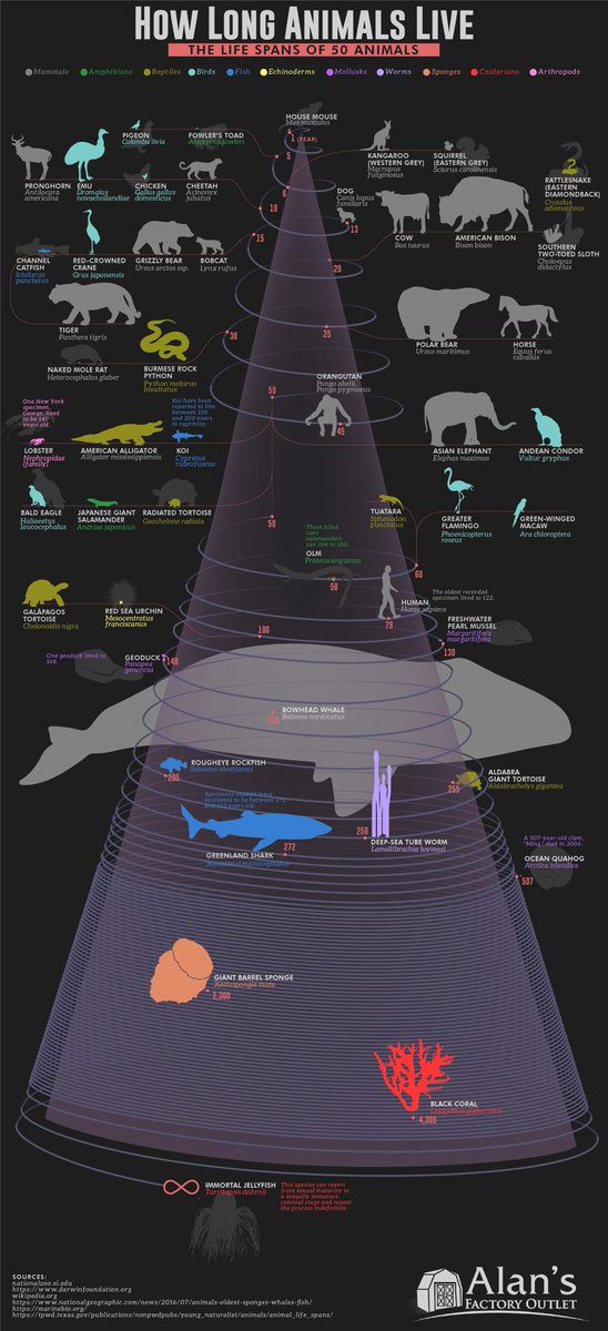 The Life Expectancy of Humans and 49 Other Animals

Via <a href="/VisualCap/">Visual Capitalist</a> flip.it/x42u-S