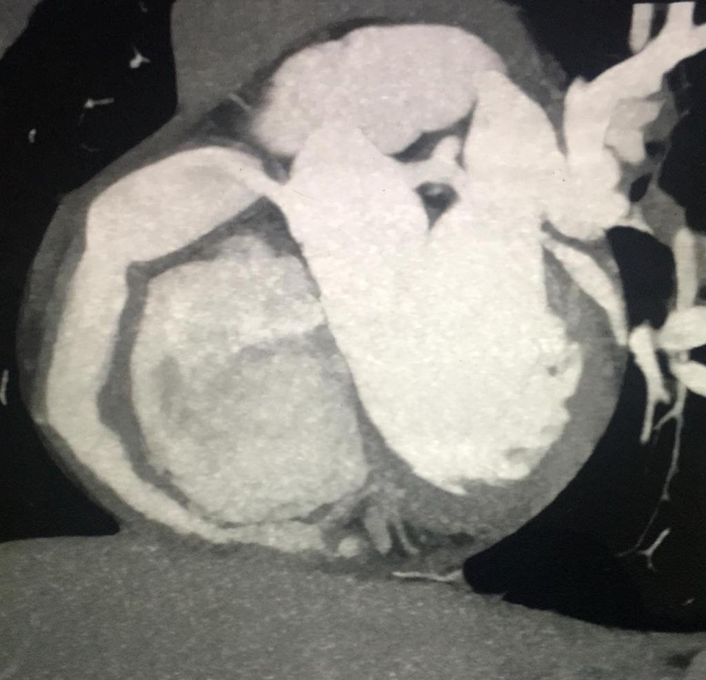 Dr Carlos Gutiérrez Torpey tweet media