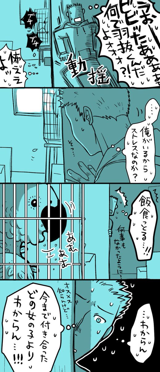 鳥って………。 