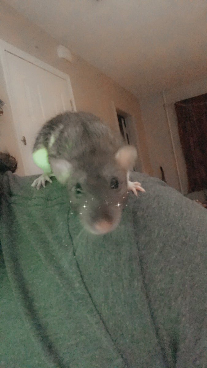 We DO talk about Bruno!