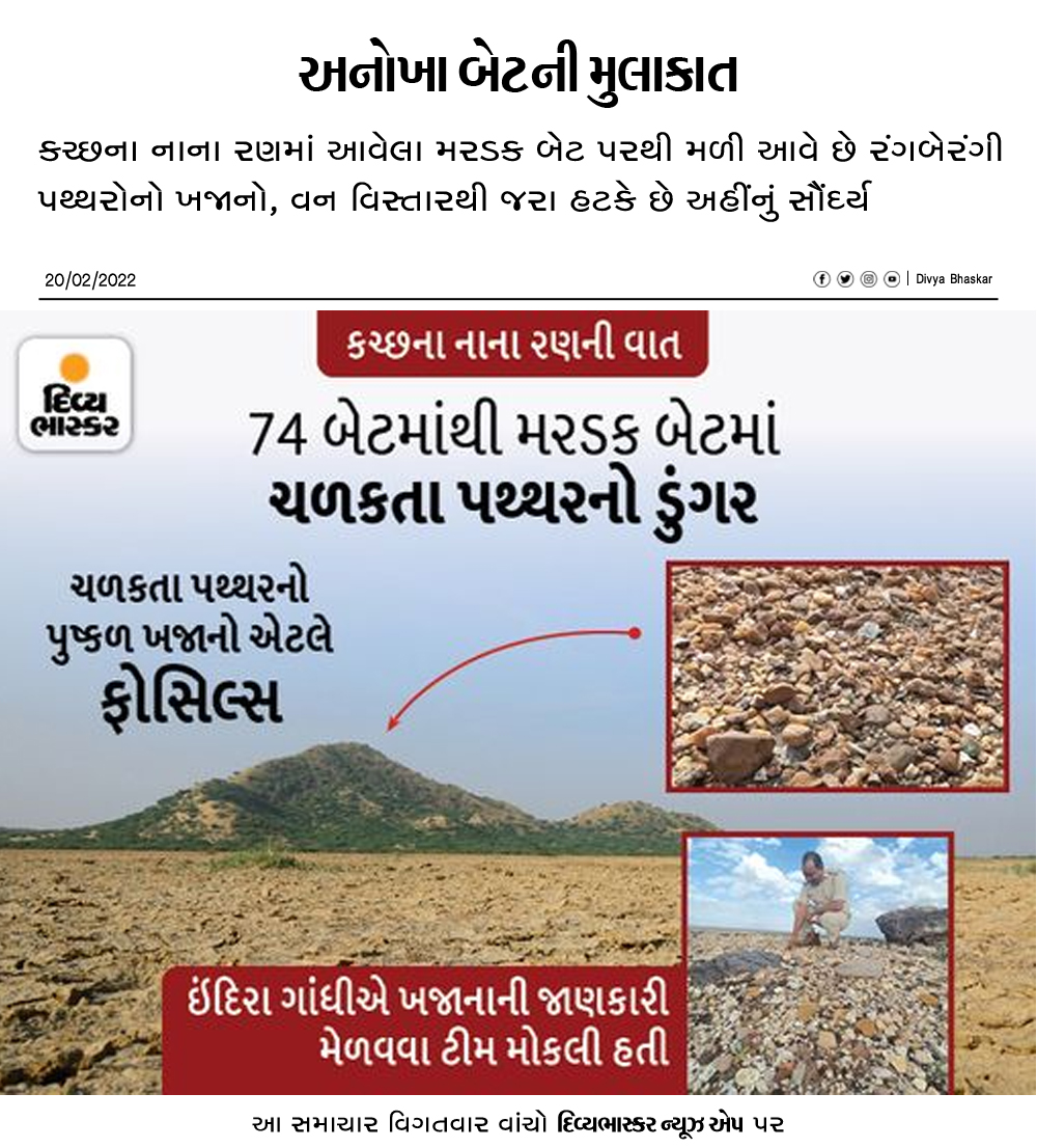 Divya_Bhaskar's tweet photo. અનોખા બેટની મુલાકાત : કચ્છના નાના રણમાં આવેલા મરડક બેટ પરથી મળી આવે છે રંગબેરંગી પથ્થરોનો ખજાનો, વન વિસ્તારથી જરા હટકે છે અહીંનું સૌંદર્ય
#Gujarat | #KutchDesert | #ColorfulStones 

https://t.co/dw2SiOP5dt https://t.co/Bt5gQVbutN