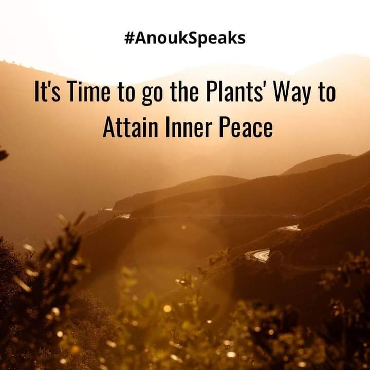 #AnoukSpeaks You know mental #balance and inner #peace can be achieved through #plants. It's time to adopt the plants' way and be ready to experience plants' #magic.