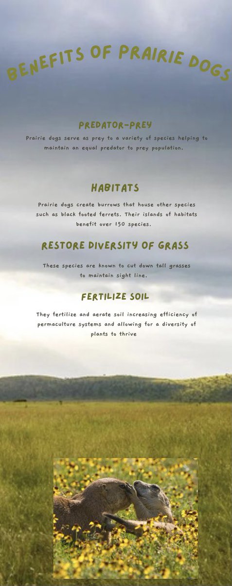 tith_monica's tweet photo. Here’s my infographic! #39canimals https://t.co/CbSjCJUfMM