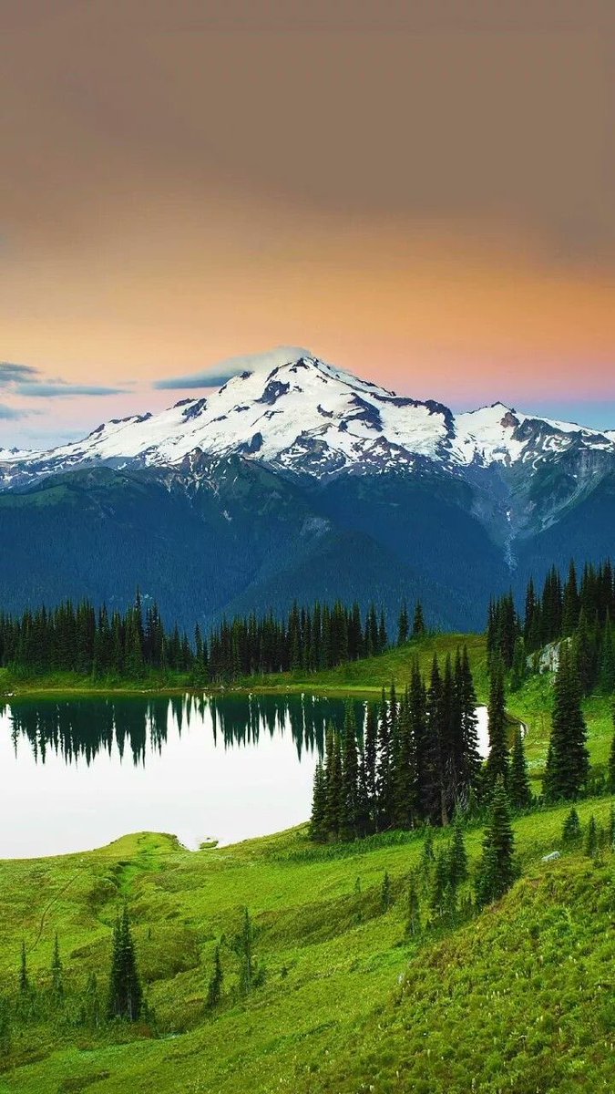 LeLeJan80's tweet image. You are strongest when you are calm.