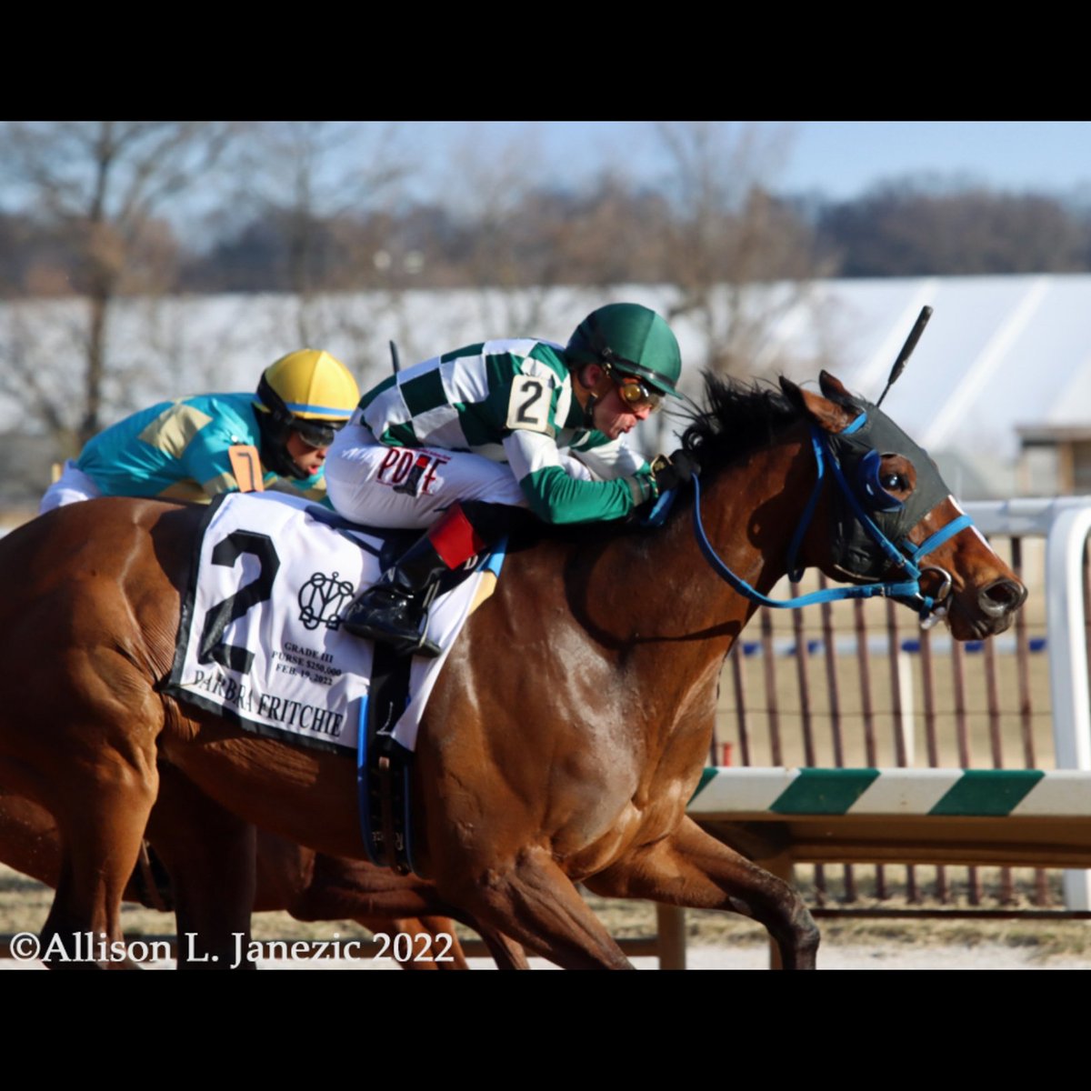 Glass Ceiling wins the 2022 Barbara Fritchie Stakes. #Thoroughbred #HorseRacing #MarylandJockeyClub @LaurelPark