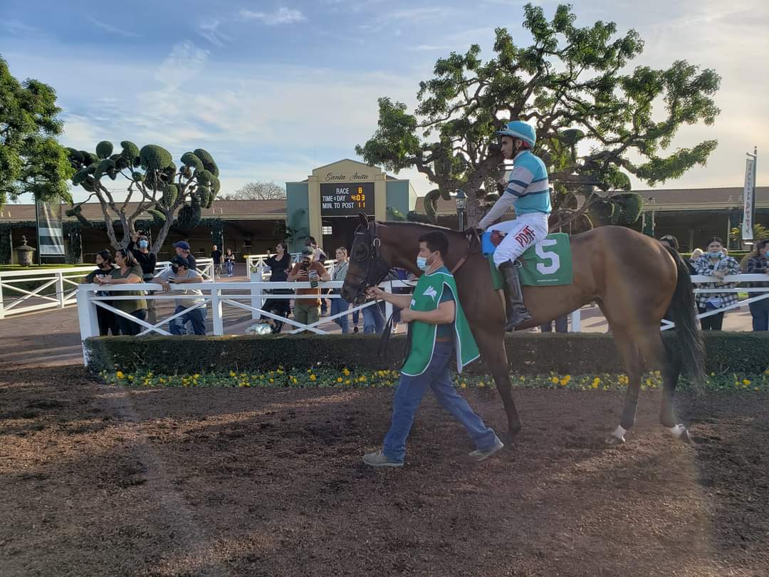 elpirokito1ofic's tweet photo. 😇😇😇 Santa Anita Park https://t.co/RYzicQUb42
