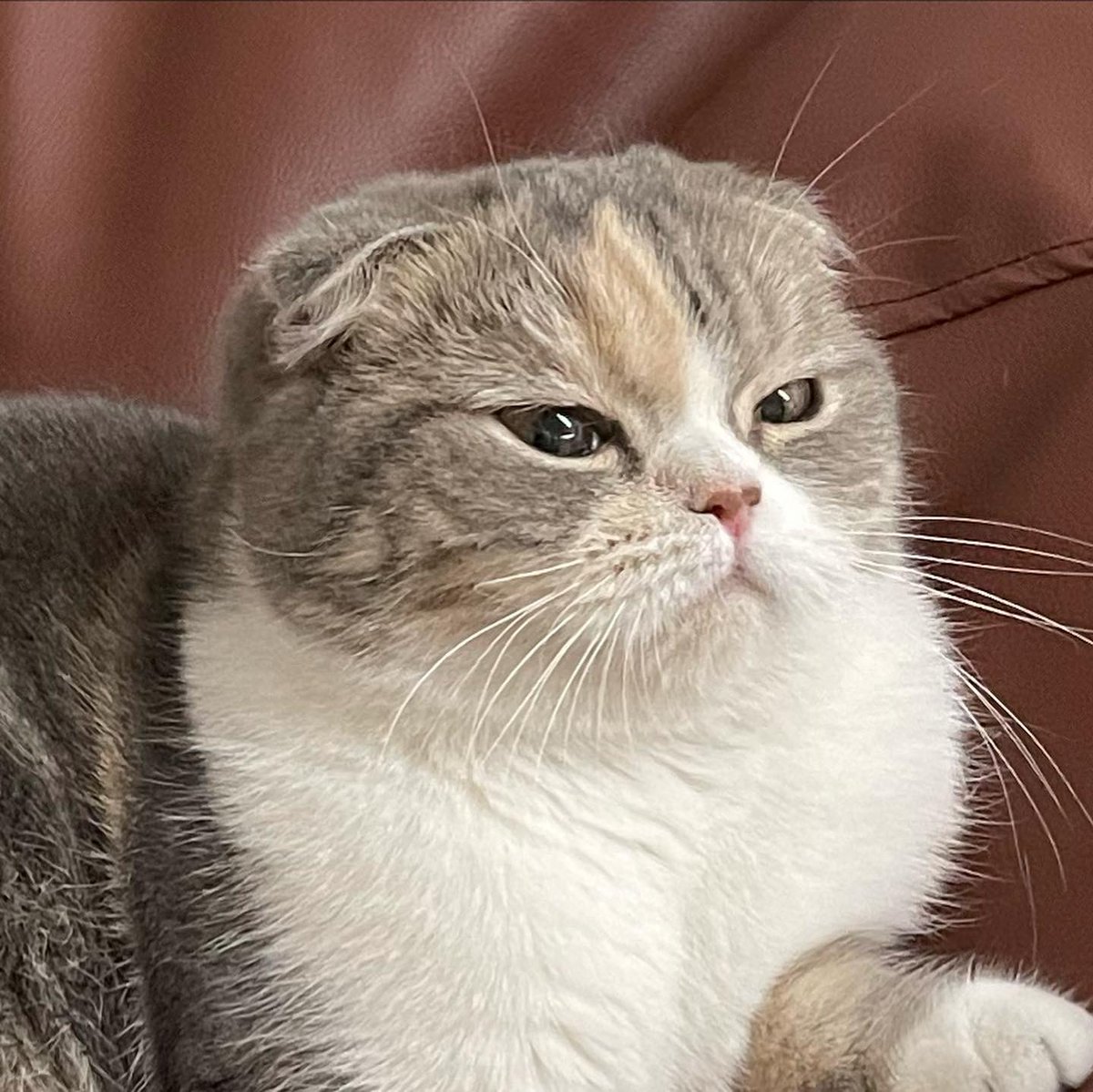 ลดตะไมน้ำหนัก กินไปตั้งเยอะเสียดายของ😮‍💨