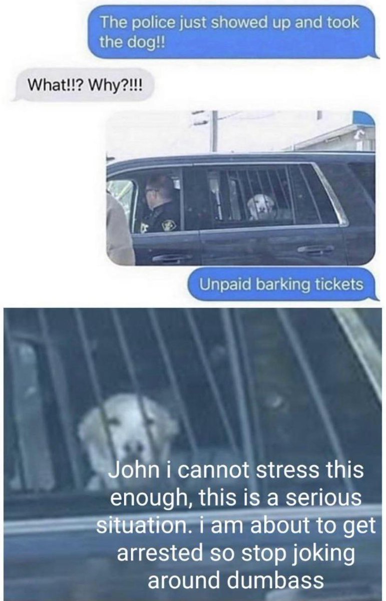 Barking tickets