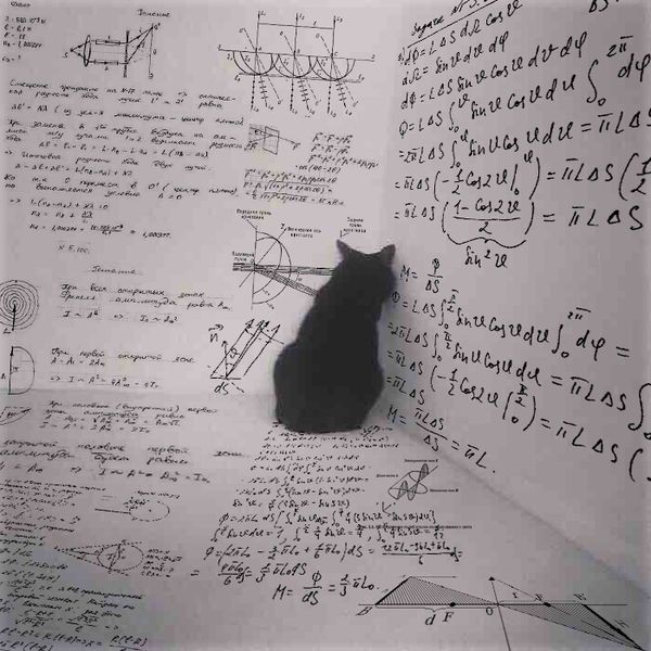 ProfFeynman's tweet image. Meanwhile, inside the box, Schrödinger&apos;s cat plans its revenge.