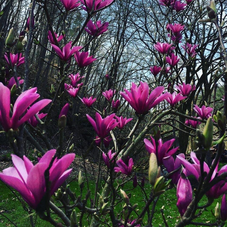 I am beyond ready for warmer weather 💚