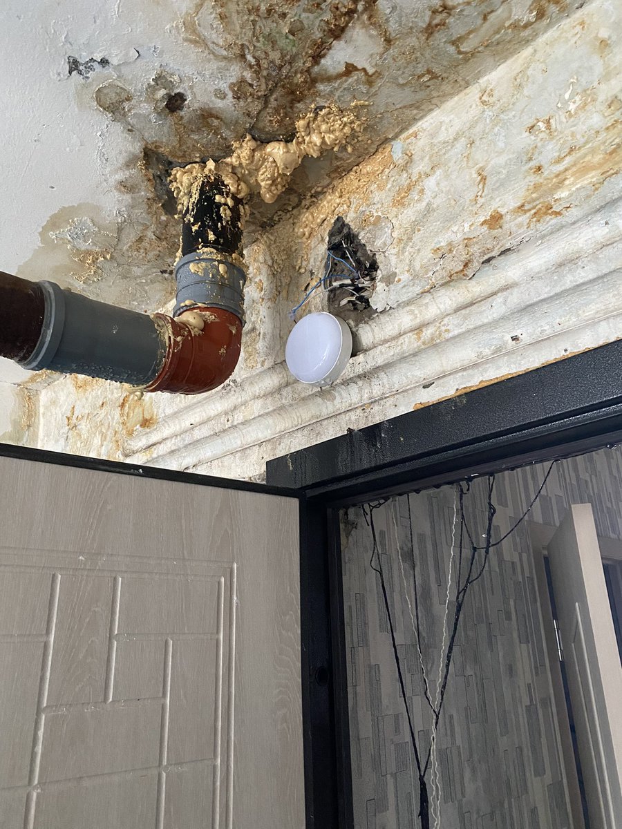 Татьяна tweet media