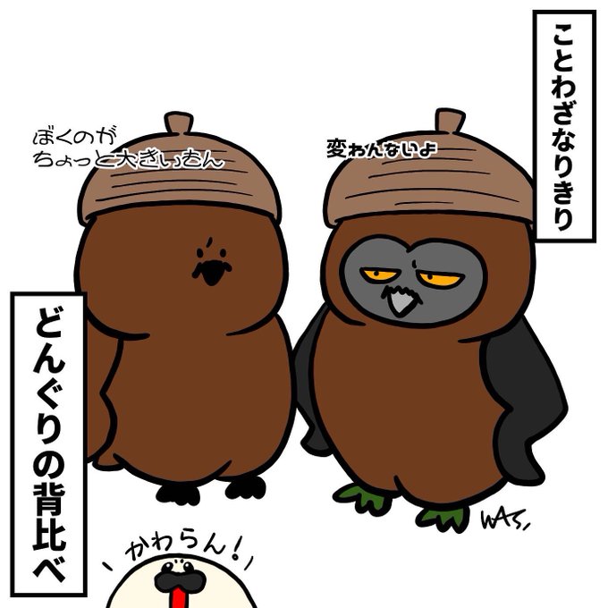 どんぐりの背比べのtwitterイラスト検索結果