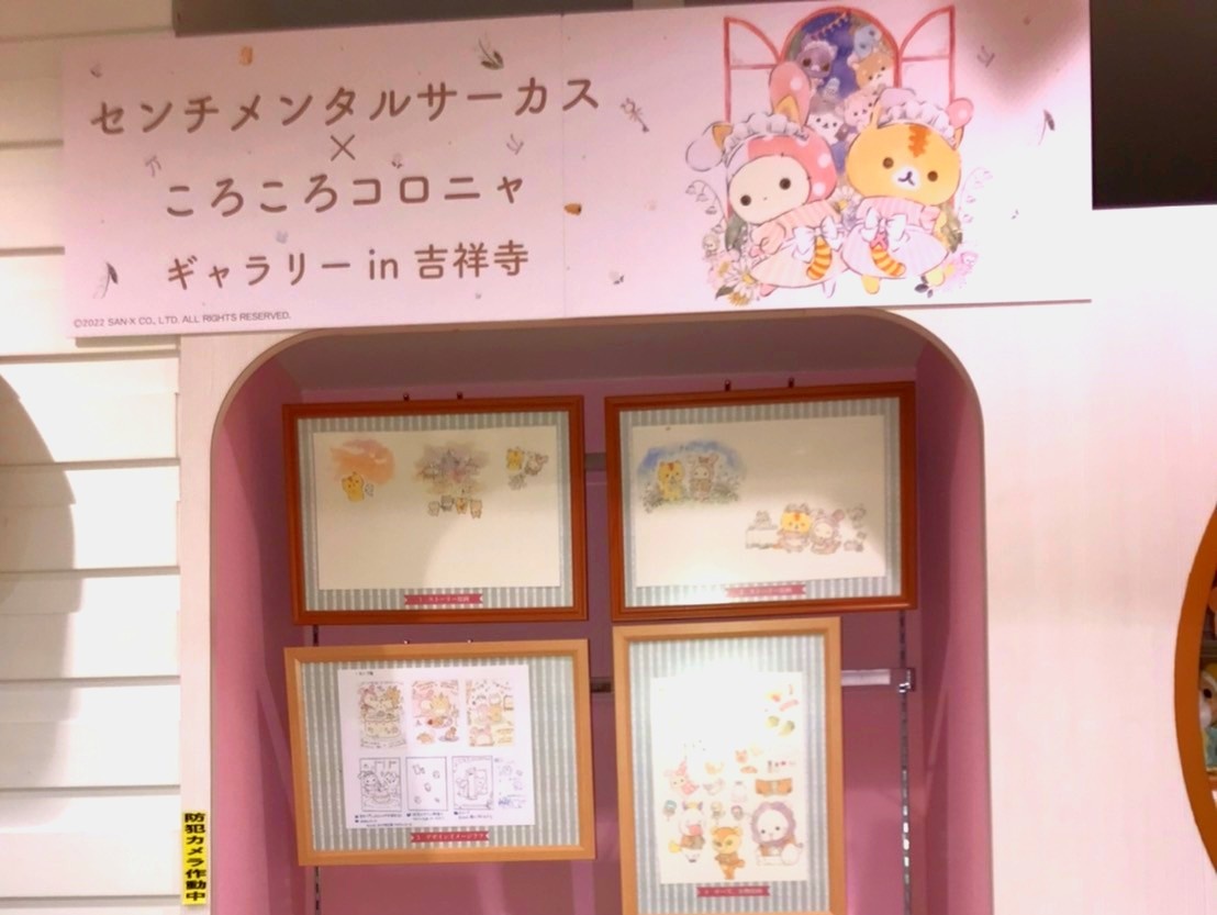 キデイランド吉祥寺店 Kichijojikiddy Twitter