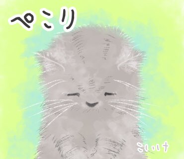 ぺこり Twitter Search Twitter