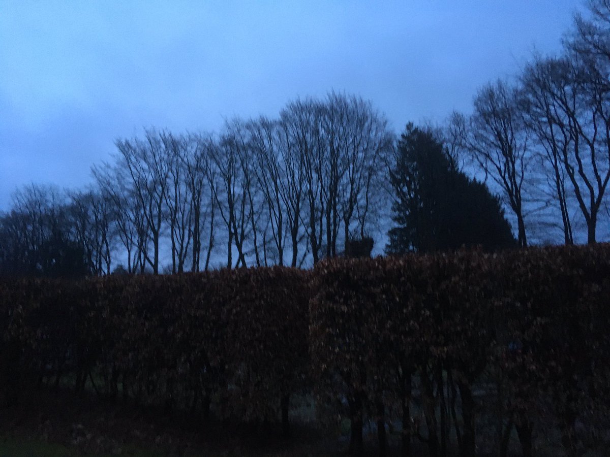 warnerbs's tweet photo. Zondag 20 februari, 07.42 u #zonsopkomst #hattem #leemkule #regen https://t.co/NKc3wloHYB