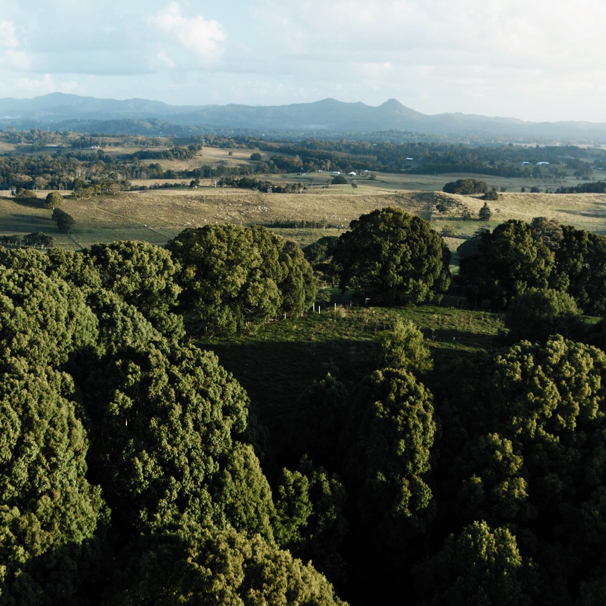 RobMillsRMA's tweet photo. Introducing Howqua.

Howqua River Hut represents the apotheosis of sustainable living, self-sufficient and off-the-grid, set among the wild beauty of the Victorian Alps.

This will be a signature project for RMA in 2022.

#LiveWell #SummerbyRMA #RMA #RobMills #RobMillsArchitects https://t.co/pVBsDODdaY