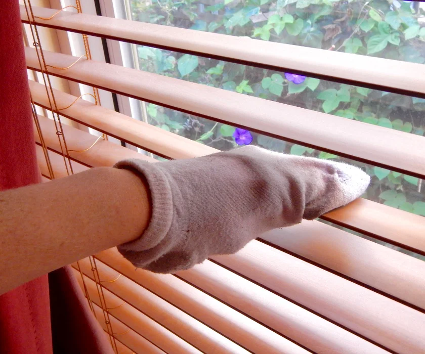 CheetahPizzas's tweet photo. @HashtagRoundup @OddTagDan @tvmoviedan @BadBoxArtMarc @elizabethk1985 @Gldni7007 @RavenRichards93 #OddPlacesToFindSocks
Dusting the #Miniblinds -- with my foot https://t.co/9pb1rzqLWj