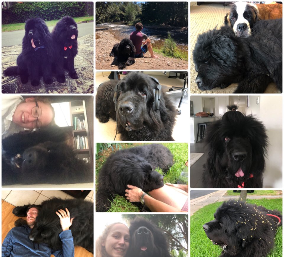 Amy Hestermann-Crane tweet media