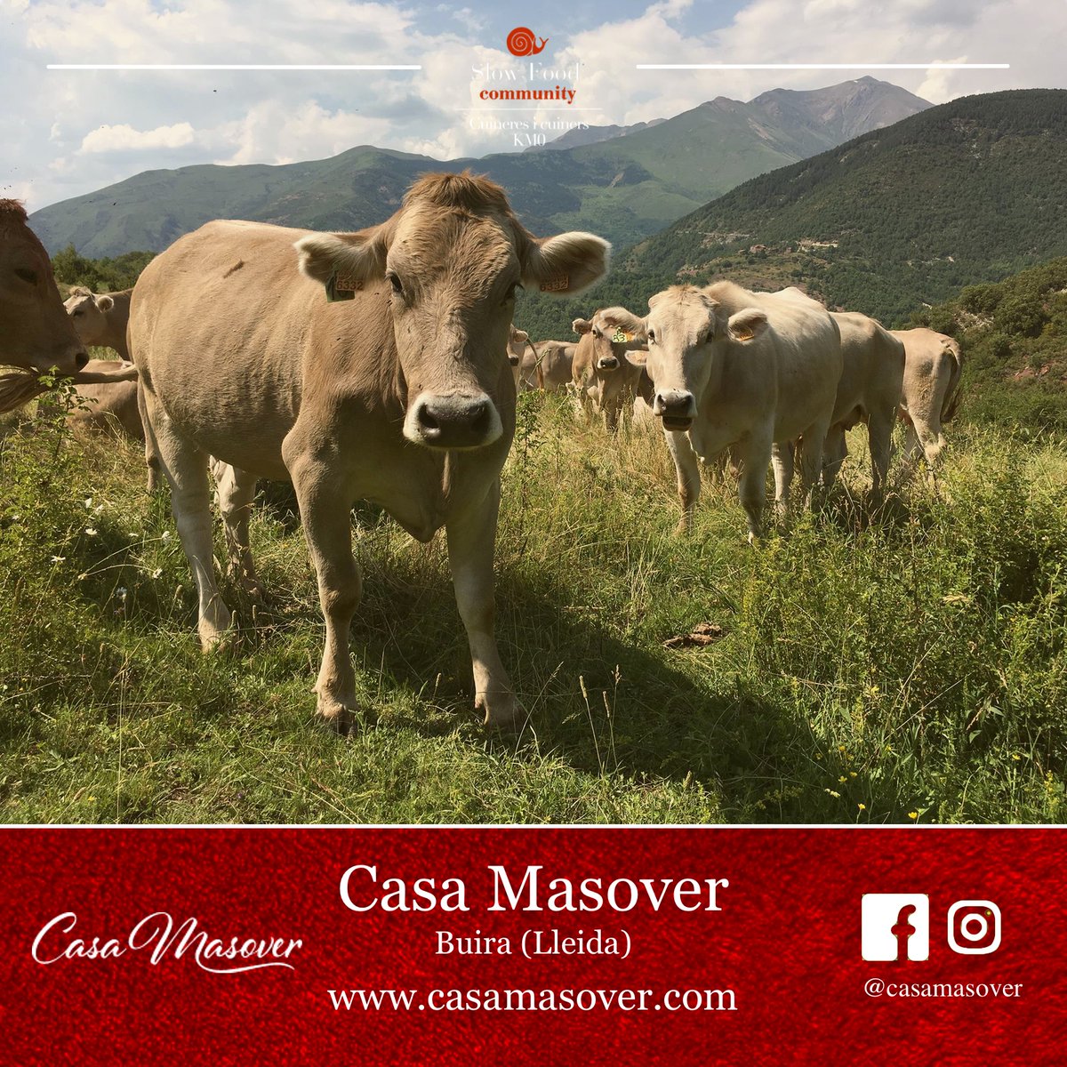 També a principis del s.XXI els apartaments turístics; al 2010 un centre eqüestre i ara la marca <a href="/evdbcasamasover/">ecocarncasamasover</a> , una explotació de vedella bruna ecològica.