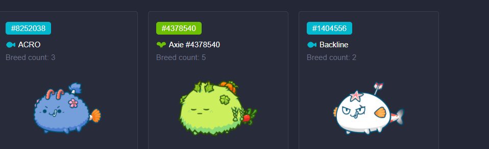 AxieNightRaid's tweet photo. Thank you for all the participants in the giveaway! check our discord to check who is the winners this time i will be onboarding new team scholars 

1 Follow @AxieNightRaid 
2 Join our discord i will be posting it at comments
3 How you will gonna play this team?
#AxieScholarship https://t.co/8HBwoiNcOD