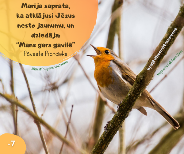 RefaloRita's tweet image. #paļāvībasmātesnovena #jaunums #prieks
#apustuliskāsoblātes
#kustībaprosanctitate
