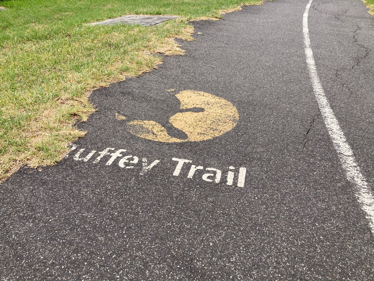 melbbiketrails's tweet photo. Would love to see coloured trail icons make a return. Creates a fun visual identity for each trail, as well as a glanceable cue to confirm you’re still on the right path. https://t.co/JQ8ISPd1Tx