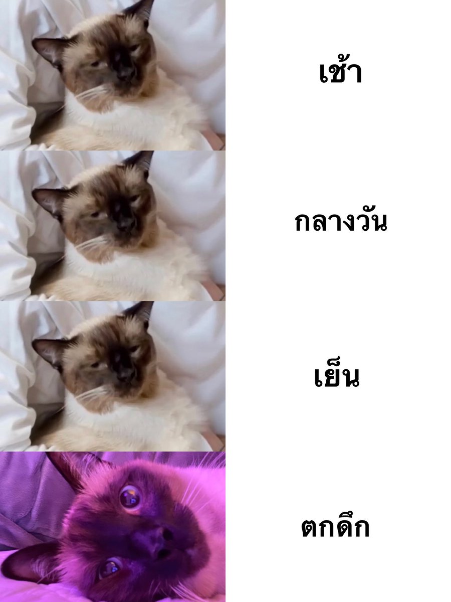 ทำไมว้า555555555555555