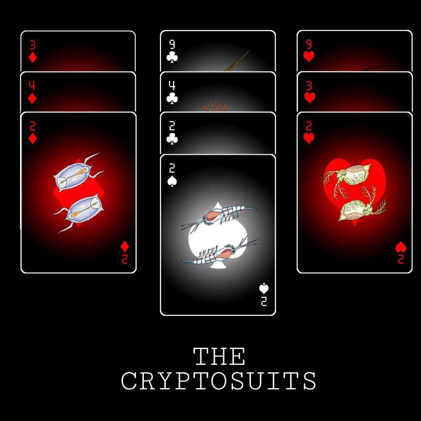 thecryptosuits's tweet photo. Gas ⛽ is low 💰
Cryptosuits NFTs available 📢
Buy NFTs and show your crypto identity proudly 💰💵🚀

https://t.co/jRvxn13ciQ

#NFTs #NFT #NFTCommmunity #nftcollectors #nftart https://t.co/pUnfBfzktg