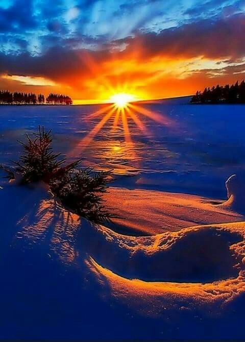 sophia162779000's tweet photo. Good morning.  
Happy Sunday 💙🧡💙🧡 https://t.co/nbQhM3k4Uz