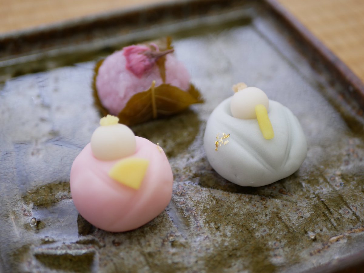 oisiisentya's tweet photo. 昨日のお稽古の写真です！
お菓子は #童庵 さん、お茶は旬ふたたびでした。めびなとおびなの配置を間違えてしまったかもしれません…
新入部員も募集中ですので、一年生の方やそれ以外の方もdmくださいね！
#春から愛大　#豊橋校舎 https://t.co/zogiBst1l1