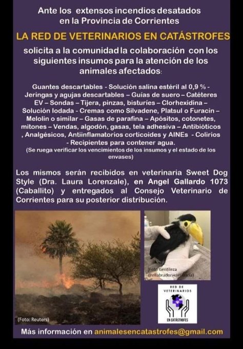 Para ayudar a los animales rescatados del incendio en Corrientes ???? https://t.co/mGPC6MsOA0
