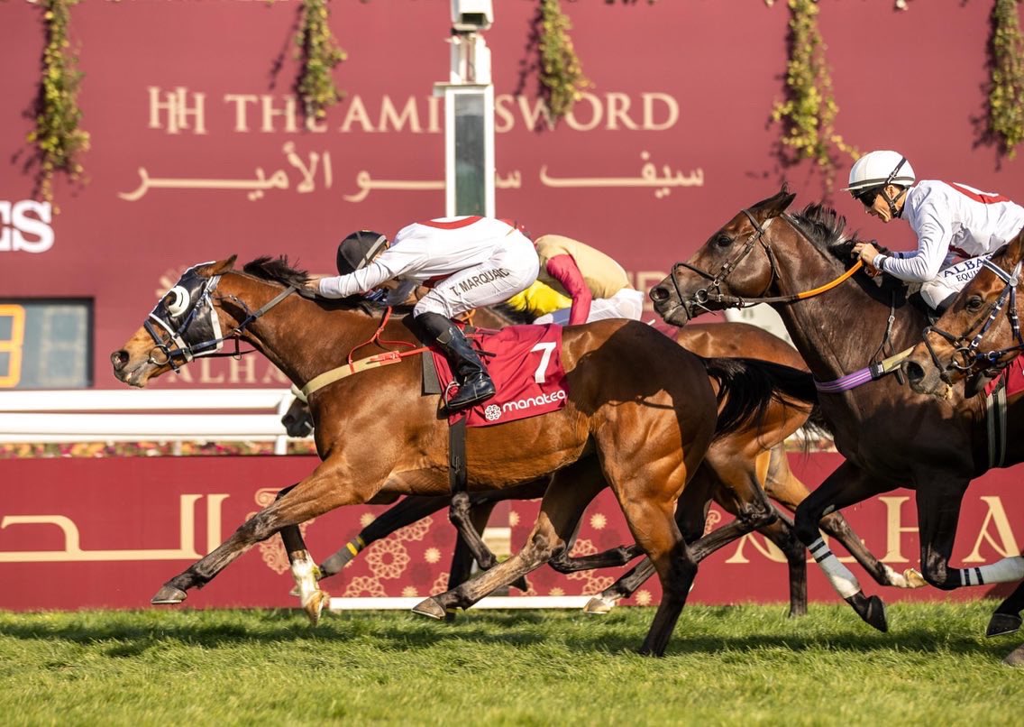 TomMarquand's tweet photo. A great week in Qatar once again having two winners aboard Kadupul and Thunderstone for @Alwasmiyahstud 🏆
•
It was an honour to be presented the winning trophy by H.H. the Amir Sheikh Tamim Bin Hamad Al Thani 🇶🇦 https://t.co/bFAxR4RBpy