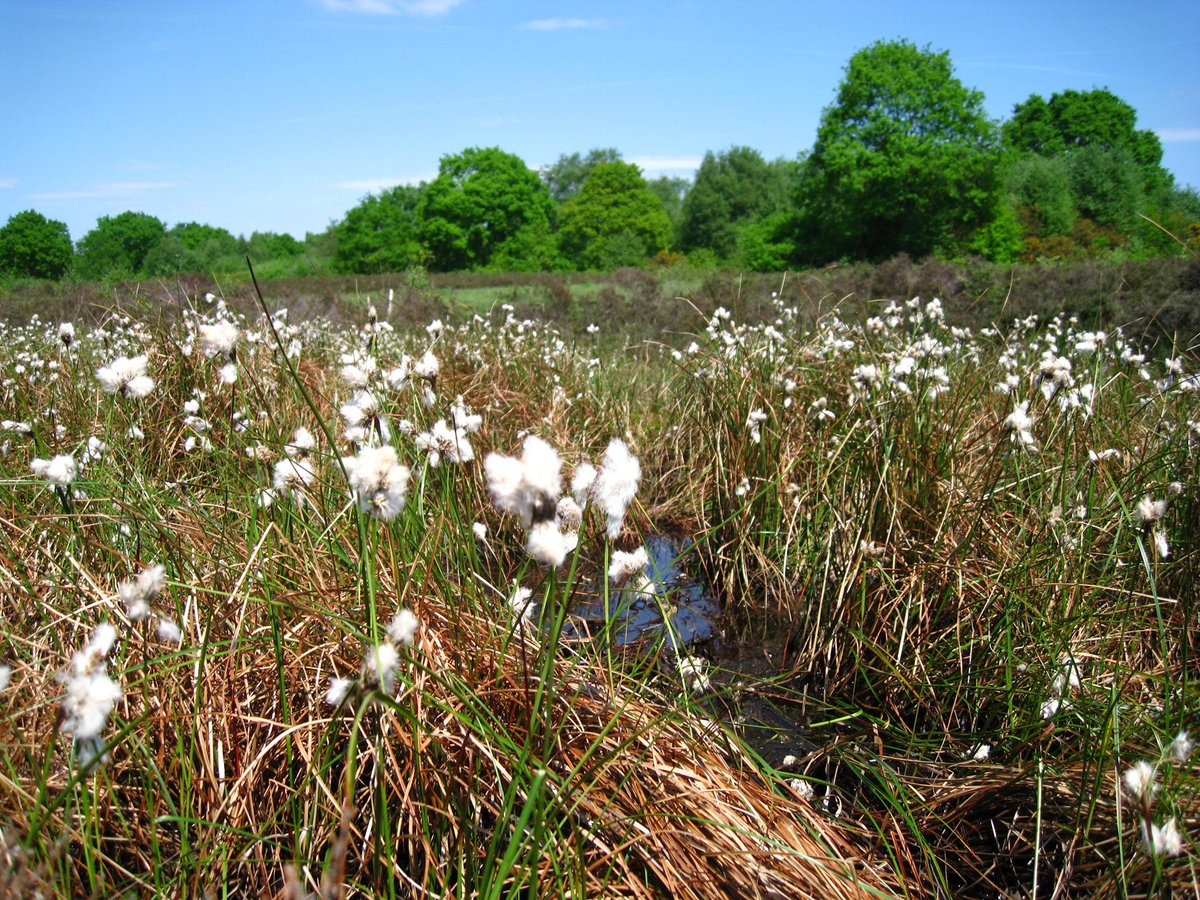 Cheshire East Countryside Rangers tweet media